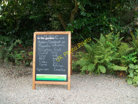 Photo 6"x4" In the garden this week ... a sign at Plas yn Rhiw Rhiw\/SH2228 c2010