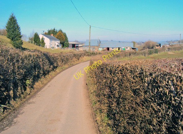 Photo 6"x4" Newordden Farm Treadam c2010