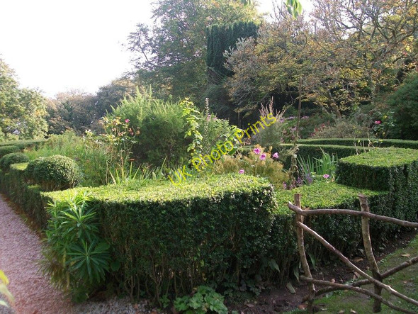 Photo 6"x4" The front garden at Plas yn Rhiw Rhiw\/SH2228 c2010