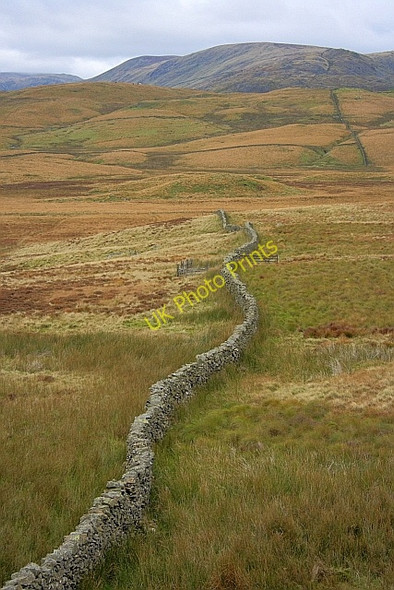 Photo 6"x4" Wall, Sleddale Forest Green Quarter c2010