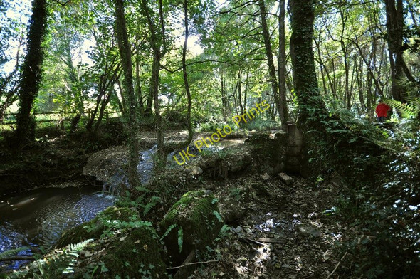 Photo 6"x4" Weir and sluice gate on a brook in Cleave Plantation Bickleton c2010