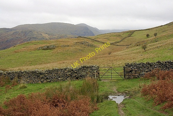 Photo 6"x4" Gate in Wall Near Nuttera Beck Green Quarter c2010