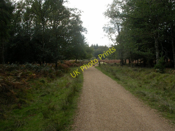Photo 6"x4" Roe Inclosure, gate Linwood\/SU1809 c2010