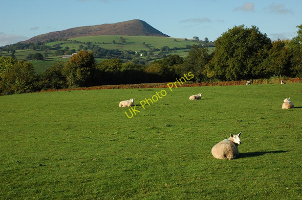 Photo 6"x4" View to Ysgyryd Fawr (Skirrid) Llangattock Lingoed c2010