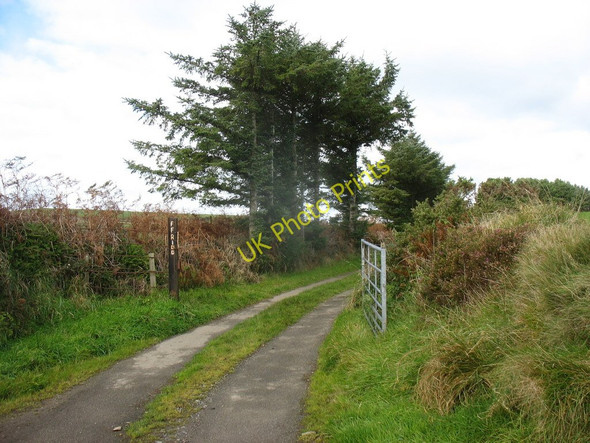 Photo 6"x4" Farm road leading to Fferm Ffridd Llithfaen c2010