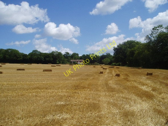 Photo 6"x4" Longwood View, Lane End Lane End\/SU5525 c2006