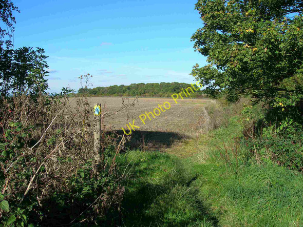 Photo 6"x4" Bridleway to Checkleys Brake Lighthorne Heath c2010
