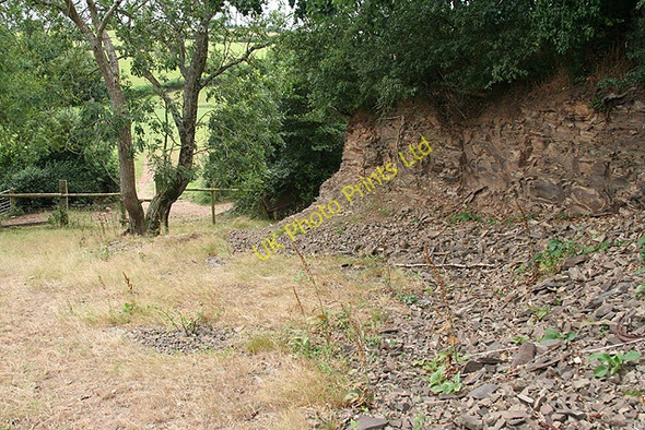 Photo 6"x4" Sandford: footpath to Rolstone Barton Kennerleigh c2006