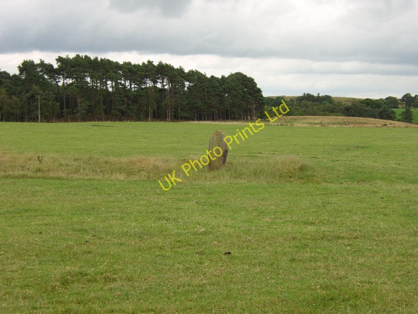 Photo 6"x4" Hanging Stone Elrington c2005