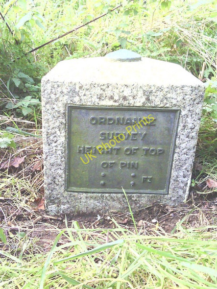 Photo 6"x4" Buckland Fundamental Bench Mark Buckland\/SU3498 c2010