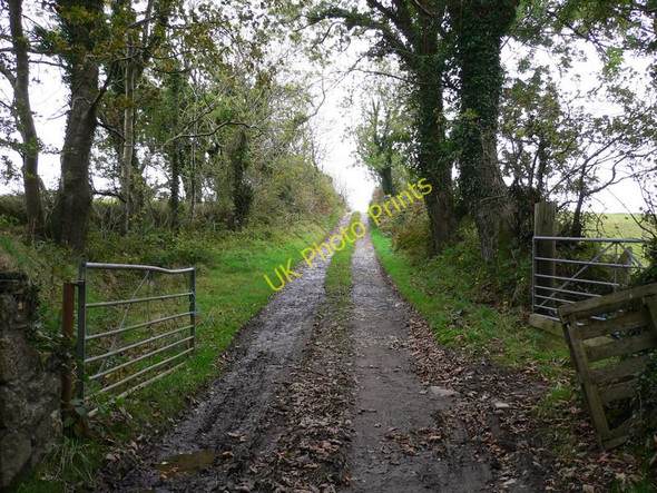 Photo 6"x4" Bayr ny Skeddan (Herring Road on Isle of Man) (75) Ballamodha c2010