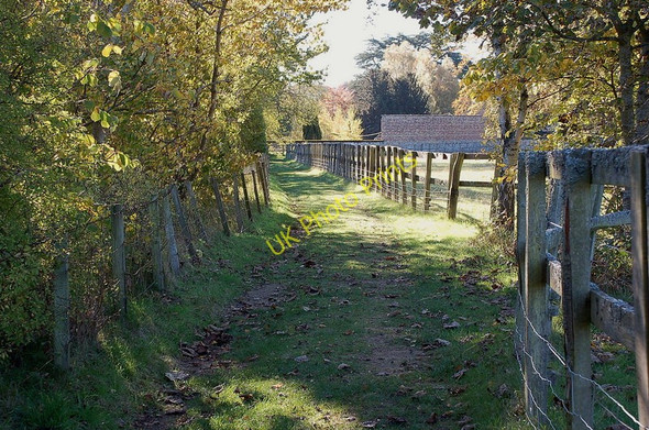 Photo 6"x4" Approaching Dryburgh on the Borders Abbeys Way Dryburgh\/NT5931 c2010