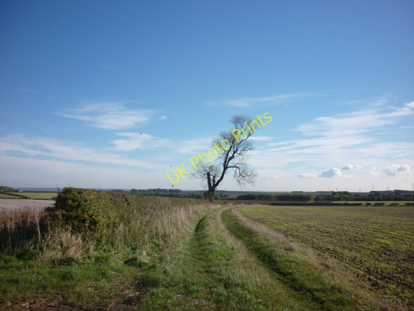 Photo 6"x4" The High Hunsley Circuit towards Newbald Lodge Gardham c2010