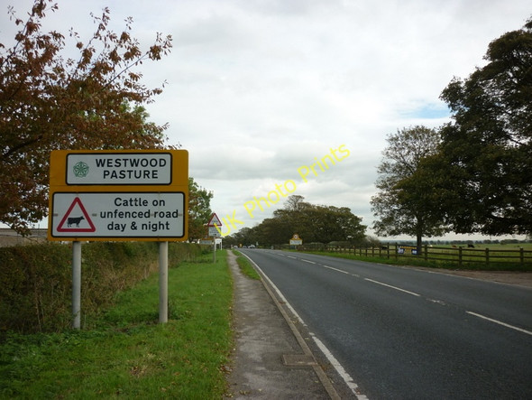 Photo 6"x4" Entering Beverley Westwood along the A1174 Hurn\/TA0240 c2010