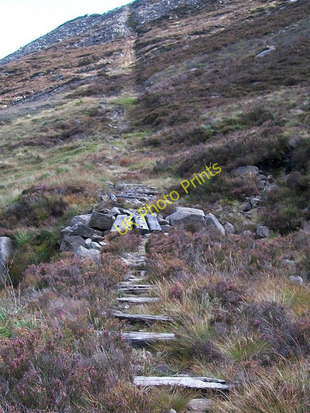 Photo 6"x4" Sleeper bridge over  a stream on the Carr's Face Incline Newcastle\/J3732 c2010