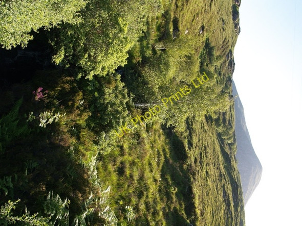 Photo 6"x4" Alltan Cuilinn Camusnagaul\/NH0689 c2006