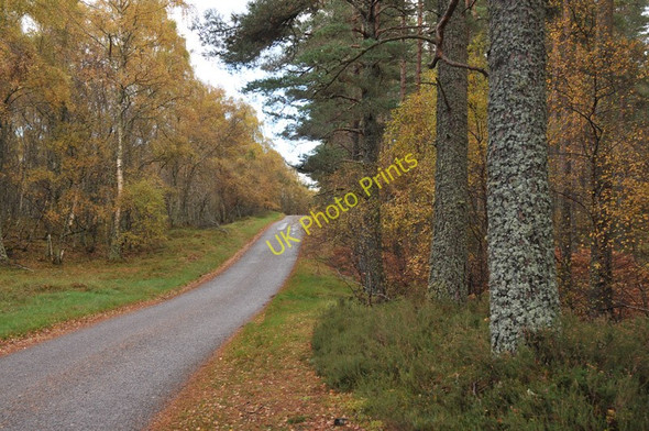 Photo 6"x4" Minor road near Keppernach Ferness c2010