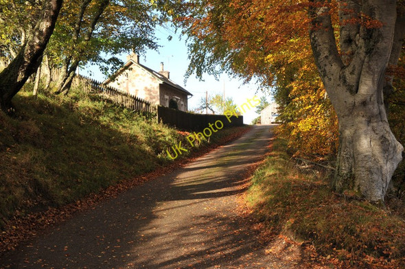 Photo 6"x4" Driveway to Drumore Ferness c2010