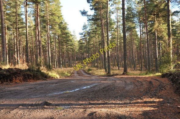 Photo 6"x4" Forestry road into Fleenas Wood Littlemill\/NH9150 c2010