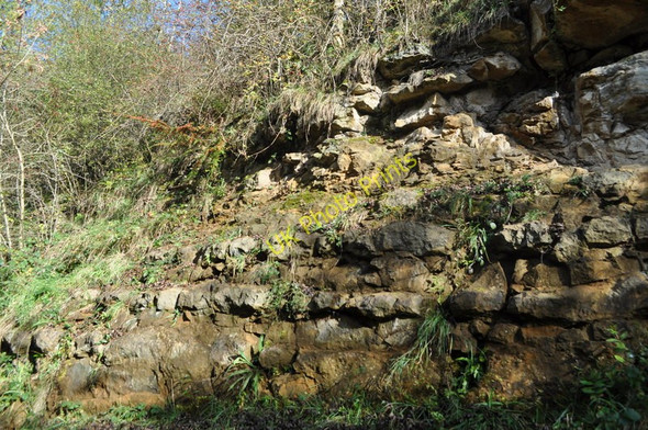 Photo 6"x4" Tilton Railway Cutting Halstead\/SK7505 c2010