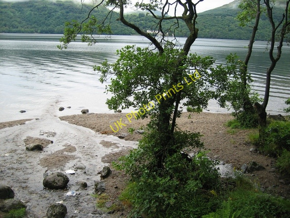 Photo 6"x4" Shore of Loch Lomond Inveruglas c2006