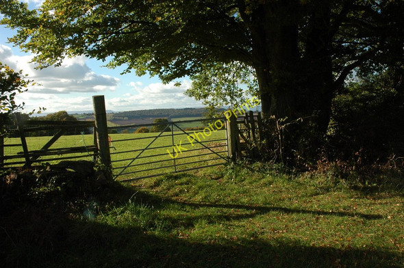 Photo 6"x4" Field entrance at Whitelye Botany Bay\/SO5102 c2010