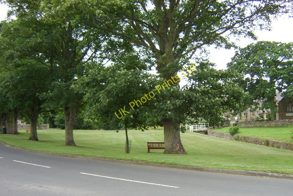 Photo 6"x4" Matfen Village Green Matfen c2005