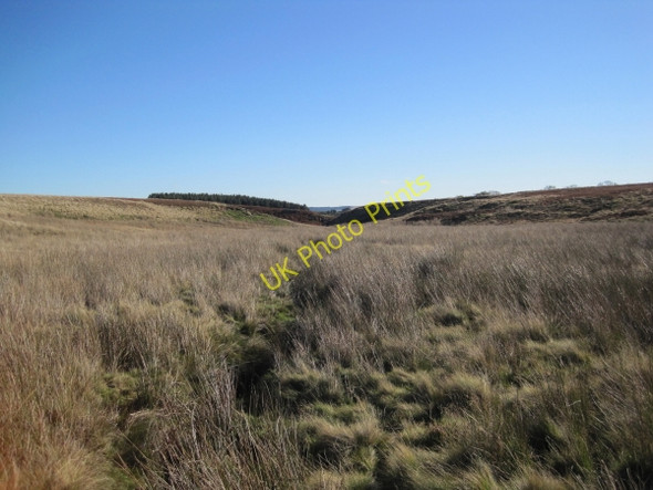 Photo 6"x4" Anchey Sike Coldcoats Sike c2010