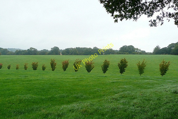Photo 6"x4" Field boundary near Shepherds Barn Huntercombe End c2010