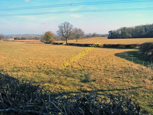 Photo 6"x4" Farmland near Beiliau Llantilio Crossenny c2010