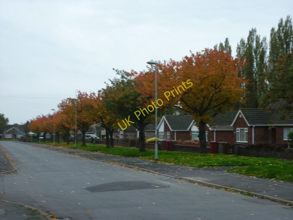 Photo 6"x4" Autumn Comes to Kenilworth Road, Scunthorpe Scunthorpe c2010