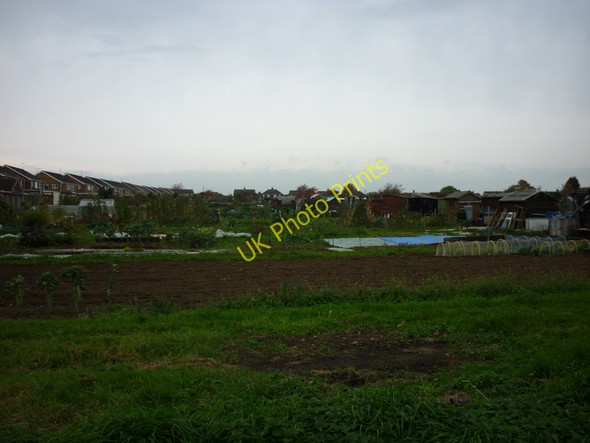 Photo 6"x4" Allotments in Bottesford Bottesford\/SE8907 c2010
