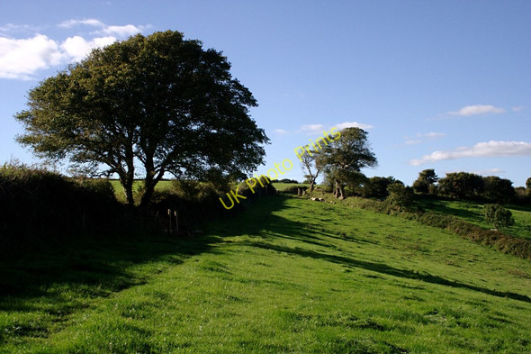 Photo 6"x4" Pasture Field Kingston\/SX9051 c2010