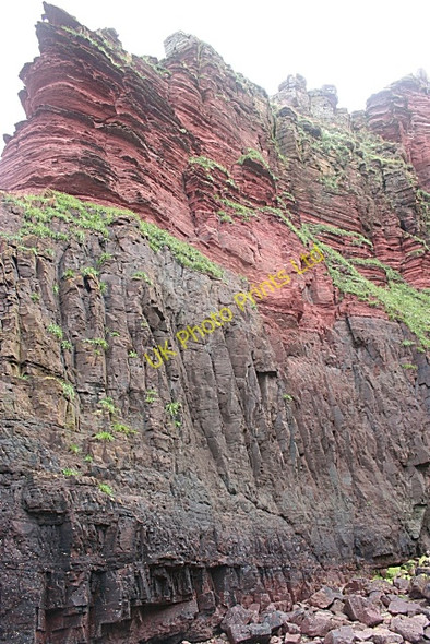 Photo 6"x4" East Comb Red Head\/NO7047 c2006