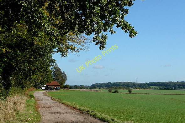 Photo 6"x4" Track towards Kent Bodiam c2010