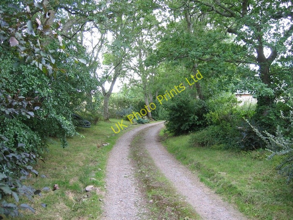 Photo 6"x4" Driveway to Ballaggan Cawdor c2006