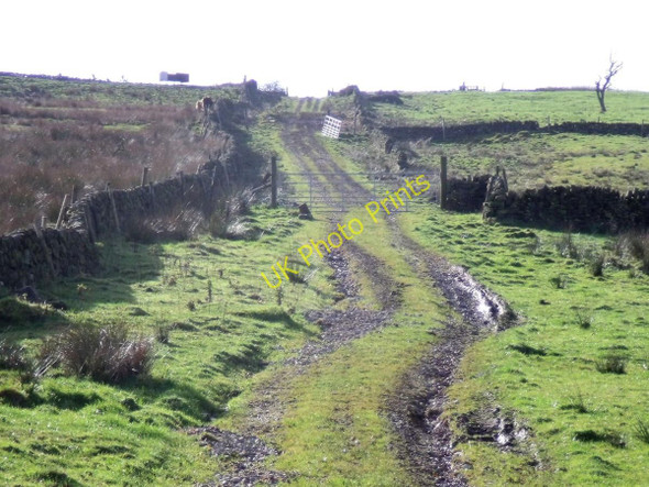 Photo 6"x4" Mellow Lane Bottom House c2010