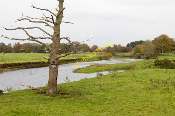 Photo 6"x4" The River Wyre Cabus c2010