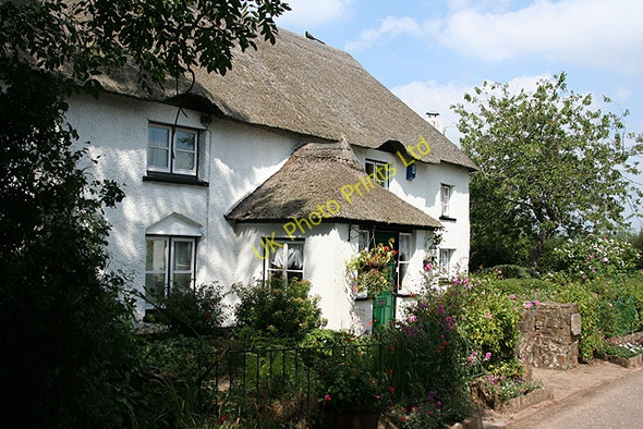 Photo 6"x4" North Tawton: Nichols Nymet Cottage Burston\/SS7102 c2006
