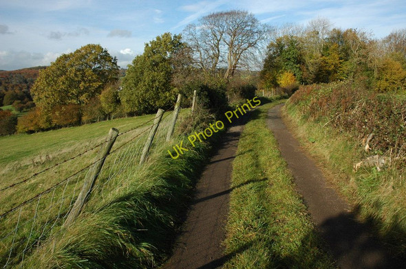Photo 6"x4" Coxbury and Wyegate lane Whitebrook\/SO5306 c2010