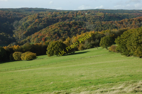 Photo 6"x4" The Wye Valley Whitebrook\/SO5306 c2010