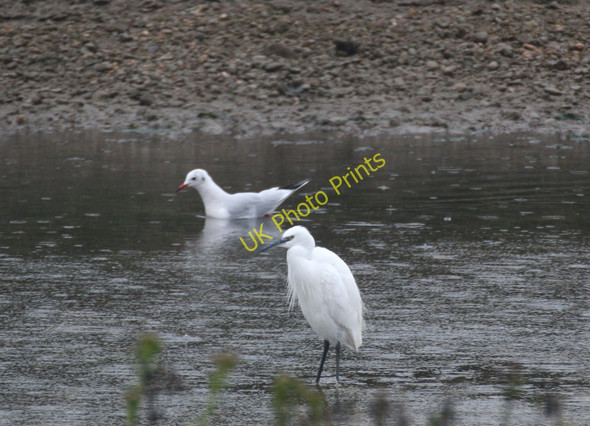 Photo 6"x4" Low tide in Ray Creek Lee-over-Sands c2010