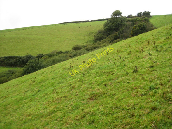 Photo 6"x4" Grazing land near Porthtowan Trenarren c2010