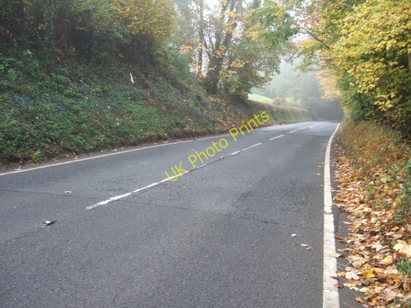 Photo 6"x4" A396 passing Stoke Woods Cowley\/SX9095 c2010