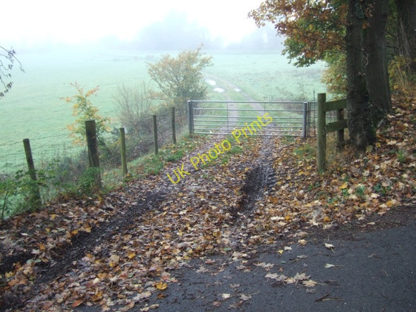 Photo 6"x4" Bridleway to Stafford Bridge Upton Pyne c2010