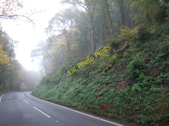 Photo 6"x4" Stoke Woods beside the A396 Upton Pyne c2010