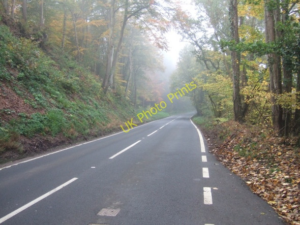 Photo 6"x4" A396 passing Stoke Woods Upton Pyne c2010