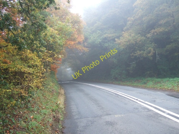 Photo 6"x4" A396 passing Stoke Woods Huxham c2010