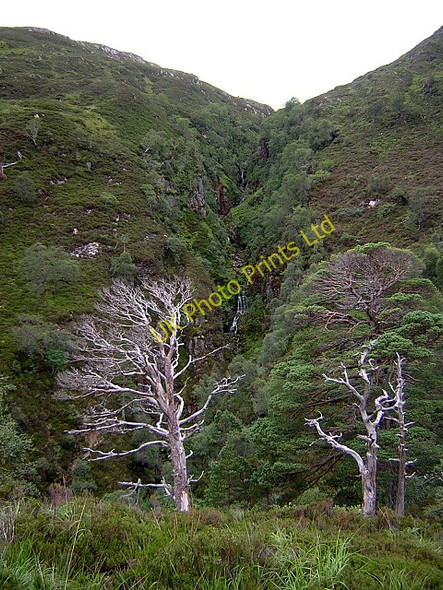 Photo 6"x4" Gorge on Allt na h-Airighe Anancaun c2006