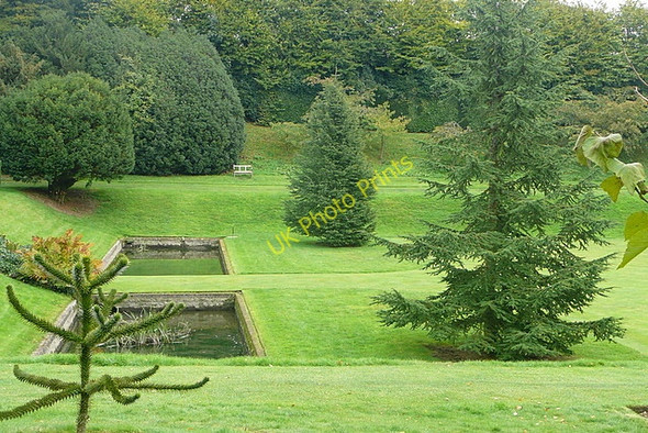 Photo 6"x4" Ightham Mote, north lawn Ivy Hatch c2010